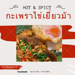 กะเพราแท้ไข่เยี่ยวม้า
