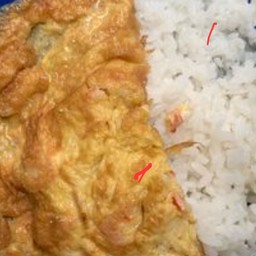 ลิฟวิ่งกรีนแมนชั่นอาหารตามสั่ง