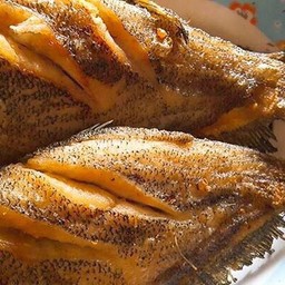 ตัวใหญ่ ปลาสลิดทอด