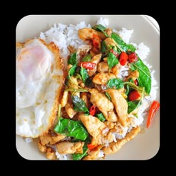 กระเพราไก่ราดข้าว ไข่ดาว