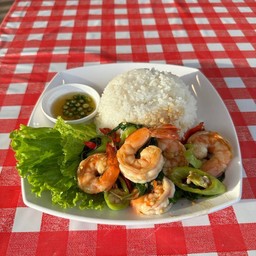 ข้าวราดกะเพรากุ้ง