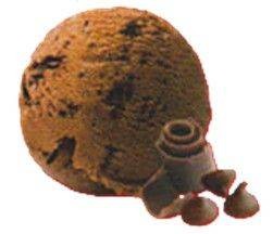 ไอศครีมรส ช็อก ช็อก ชิพ