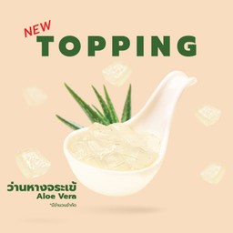 ว่านหางจระเข้