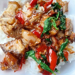 กะเพราหมูกรอบราดข้าว