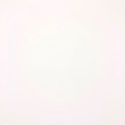 พิซซ่าฮาวายเอี้ยน