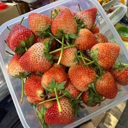 ล้านผลไม้ ตลาดเกรียงไกร