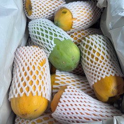 มะละกอ 1 ลูก