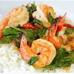 กระเพรากุ้ง