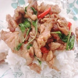 กระเพราหมูชิ้น