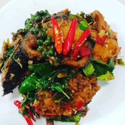 ผัดเผ็ด(กับข้าว)