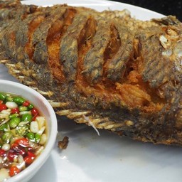 ปลานิลทอดพริกน้ำปลา