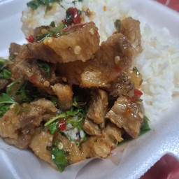 ข้าวราดกระเพราหมูกรอบ