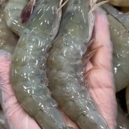 กุ้งย่างเสียบไม้ BB