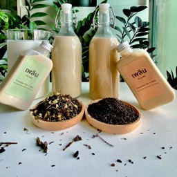 ชานม เพลิน / Milk tea Plearn