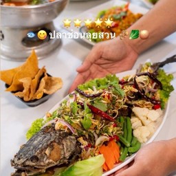 ปลาช่อนลุยสวน