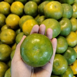 ลูกเป็ด ผลไม้สดและกระเช้าผลไม้สด ตลาดซิตี้