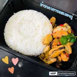 ข้าวกะเพราหอยแมลงภู่