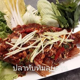 ปลาทับทิมลุยสวน