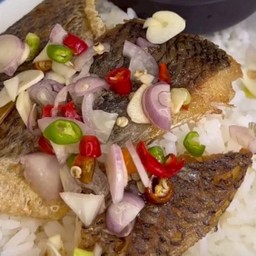 ข้าวปลาแกะ