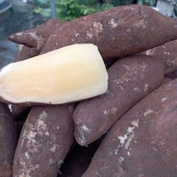 อะโวคาโดสด อาหารผลไม้