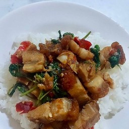 ข้าวกะเพรา หมูกรอบ