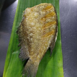 ปลาสลิดทอด