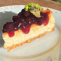 ชีสเค้กบูลเบอร์รี่ (cheesecake blueberry)