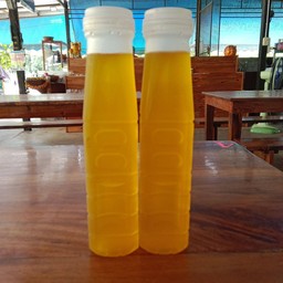 น้ำเก๊กฮวย + น้ำแข็ง