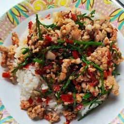 ชะอมผัดพริกสด ราดข้าว