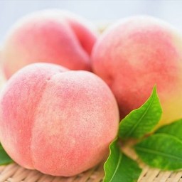 น้ำพีชโซดา