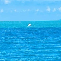 Nathong Seafood 芭提雅望海楼海鲜