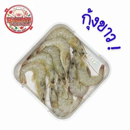 กุ้งขาว