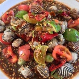 เหลาหอยแคง