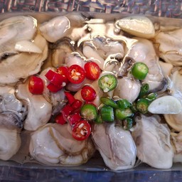 หอยนางรมดอง