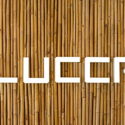 Lucca Cafe