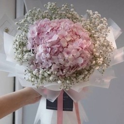 ช่อไฮเดรนเยียร์(H1)