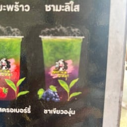 ติดนม_อมมุก สาขาพรธิสาร8คลอง7🧋