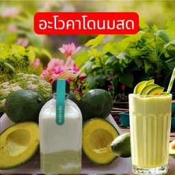 อะโวคาโด นมสด 350ml