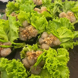 สาคูใส่ไก่