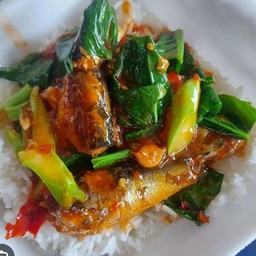 ข้าวราดคะน้าปลากระป๋อง