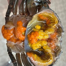 ปูไข่ทะเลดอง