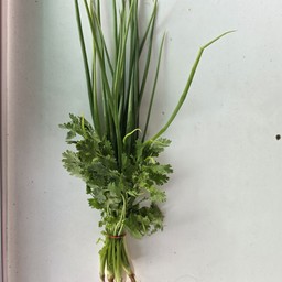 ต้นหอมผักชี