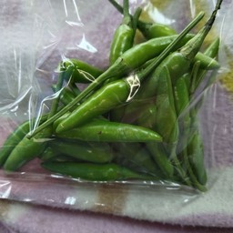 พริกขี้หนูสวน