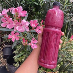 น้ำทับทิม