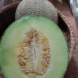 แคนตาลูป หวานฉ่ำ