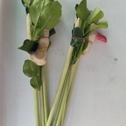 ข่า ตะไคร้ ใบมะกรูด