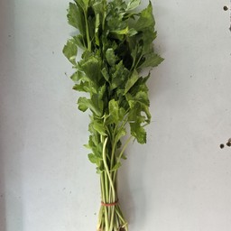 ขึ้นฉ่าย