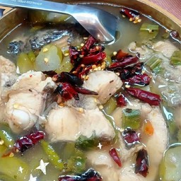 ต้มยํา ปลาช่อนนา