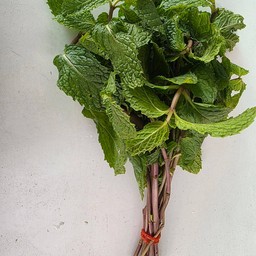 สะระแหน่