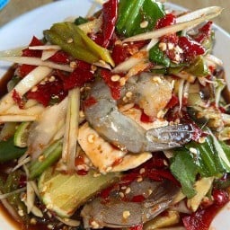 อีสานเข้ากรุง